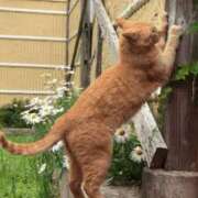 ヒメ日記 2025/05/30 17:49 投稿 松嶋那々 プレジデントクラブ