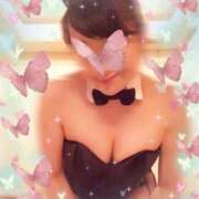 ヒメ日記 2025/06/11 23:59 投稿 松嶋那々 プレジデントクラブ