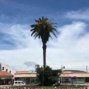 ヒメ日記 2025/06/26 18:36 投稿 松嶋那々 プレジデントクラブ