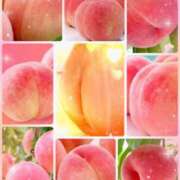 ヒメ日記 2025/09/12 12:34 投稿 松嶋那々 プレジデントクラブ