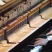 ヒメ日記 2025/11/19 02:29 投稿 松嶋那々 プレジデントクラブ