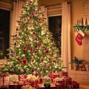 ヒメ日記 2025/12/25 17:23 投稿 松嶋那々 プレジデントクラブ