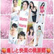 ヒメ日記 2026/01/15 14:59 投稿 松嶋那々 プレジデントクラブ