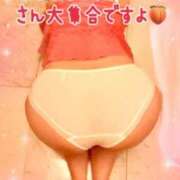 ヒメ日記 2026/02/11 14:29 投稿 松嶋那々 プレジデントクラブ