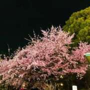 ヒメ日記 2026/03/11 22:07 投稿 松嶋那々 プレジデントクラブ