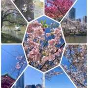 ヒメ日記 2026/04/03 20:20 投稿 松嶋那々 プレジデントクラブ