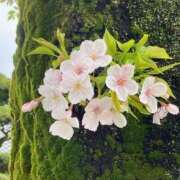 ヒメ日記 2026/04/05 18:50 投稿 松嶋那々 プレジデントクラブ