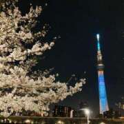 ヒメ日記 2026/04/06 23:43 投稿 松嶋那々 プレジデントクラブ