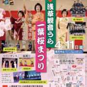 ヒメ日記 2026/04/11 12:01 投稿 松嶋那々 プレジデントクラブ