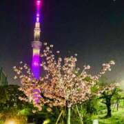 ヒメ日記 2026/04/14 22:20 投稿 松嶋那々 プレジデントクラブ