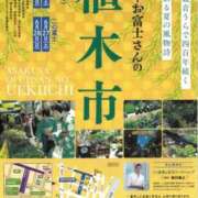 ヒメ日記 2026/05/31 09:59 投稿 松嶋那々 プレジデントクラブ
