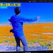 ヒメ日記 2026/07/28 03:47 投稿 松嶋那々 プレジデントクラブ