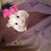 ヒメ日記 2025/04/25 03:26 投稿 あおい 熟女の風俗最終章 本厚木店