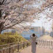 ヒメ日記 2025/04/11 20:31 投稿 さら ばつぐん素人プロダクション