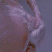 あきら ^ᴗ.ᴗ^♡ 11チャンネル