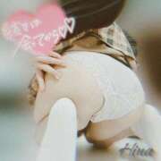 ヒメ日記 2024/12/13 15:00 投稿 上原ひな 甲府回春アロマージュ