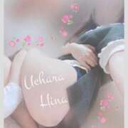 ヒメ日記 2024/12/27 15:00 投稿 上原ひな 甲府回春アロマージュ