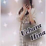 ヒメ日記 2025/04/17 19:02 投稿 上原ひな 甲府回春アロマージュ