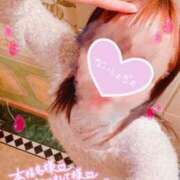 ヒメ日記 2025/11/10 12:02 投稿 上原ひな 甲府回春アロマージュ