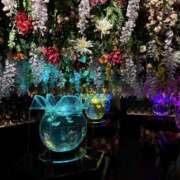 ヒメ日記 2025/05/19 06:00 投稿 まどか 美熟女専科白夜