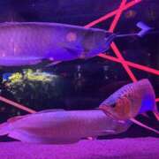 ヒメ日記 2025/05/25 06:00 投稿 まどか 美熟女専科白夜