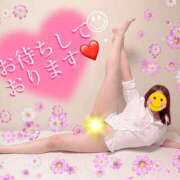 ヒメ日記 2025/04/24 11:30 投稿 奈々 美熟女専科白夜