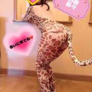 ヒメ日記 2025/10/26 12:34 投稿 奈々 美熟女専科白夜