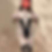 ヒメ日記 2026/03/15 12:34 投稿 奈々 美熟女専科白夜