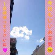 ヒメ日記 2025/04/16 07:56 投稿 あんり 美熟女専科白夜