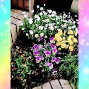 ヒメ日記 2025/04/21 20:55 投稿 あんり 美熟女専科白夜