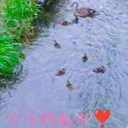 ヒメ日記 2025/09/08 11:43 投稿 あんり 美熟女専科白夜