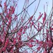 ヒメ日記 2026/02/27 22:07 投稿 あんり 美熟女専科白夜