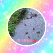 ヒメ日記 2026/07/29 13:00 投稿 あんり 美熟女専科白夜