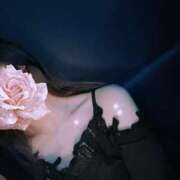 ヒメ日記 2025/04/20 10:19 投稿 ゆゆ カルテDayShift