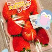 ヒメ日記 2025/01/29 21:57 投稿 秋吉 シャトーペトラ