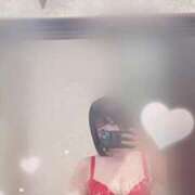 ヒメ日記 2025/04/09 11:49 投稿 秋吉 シャトーペトラ