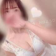 ヒメ日記 2025/04/16 08:29 投稿 秋吉 シャトーペトラ