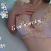 ヒメ日記 2025/06/23 08:19 投稿 秋吉 シャトーペトラ