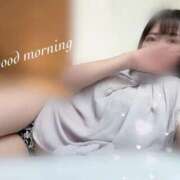 ヒメ日記 2025/07/21 08:26 投稿 秋吉 シャトーペトラ