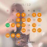 ヒメ日記 2025/11/24 22:32 投稿 秋吉 シャトーペトラ