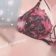 ヒメ日記 2025/12/06 08:20 投稿 秋吉 シャトーペトラ