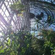 ヒメ日記 2025/12/22 21:24 投稿 秋吉 シャトーペトラ