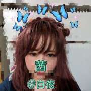 ヒメ日記 2024/12/15 07:00 投稿 茜（あかね） 美熟女専科白夜