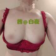 ヒメ日記 2025/02/14 05:00 投稿 茜（あかね） 美熟女専科白夜