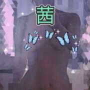 ヒメ日記 2025/02/21 05:00 投稿 茜（あかね） 美熟女専科白夜