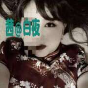 ヒメ日記 2025/04/09 05:00 投稿 茜（あかね） 美熟女専科白夜