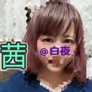 ヒメ日記 2025/04/23 10:00 投稿 茜（あかね） 美熟女専科白夜