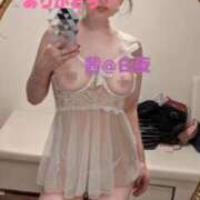 ヒメ日記 2025/05/31 05:00 投稿 茜（あかね） 美熟女専科白夜