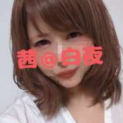 ヒメ日記 2025/06/25 05:00 投稿 茜（あかね） 美熟女専科白夜