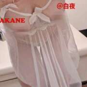 ヒメ日記 2025/07/08 10:02 投稿 茜（あかね） 美熟女専科白夜